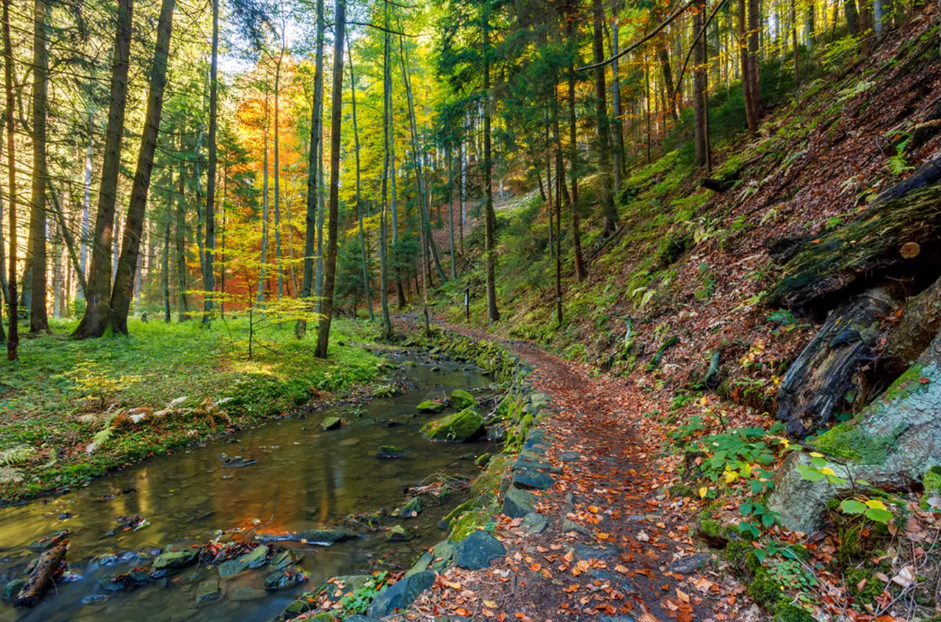 Procházka Údolím Moravy